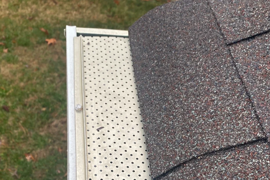 Ankeny Gutter Cleaning